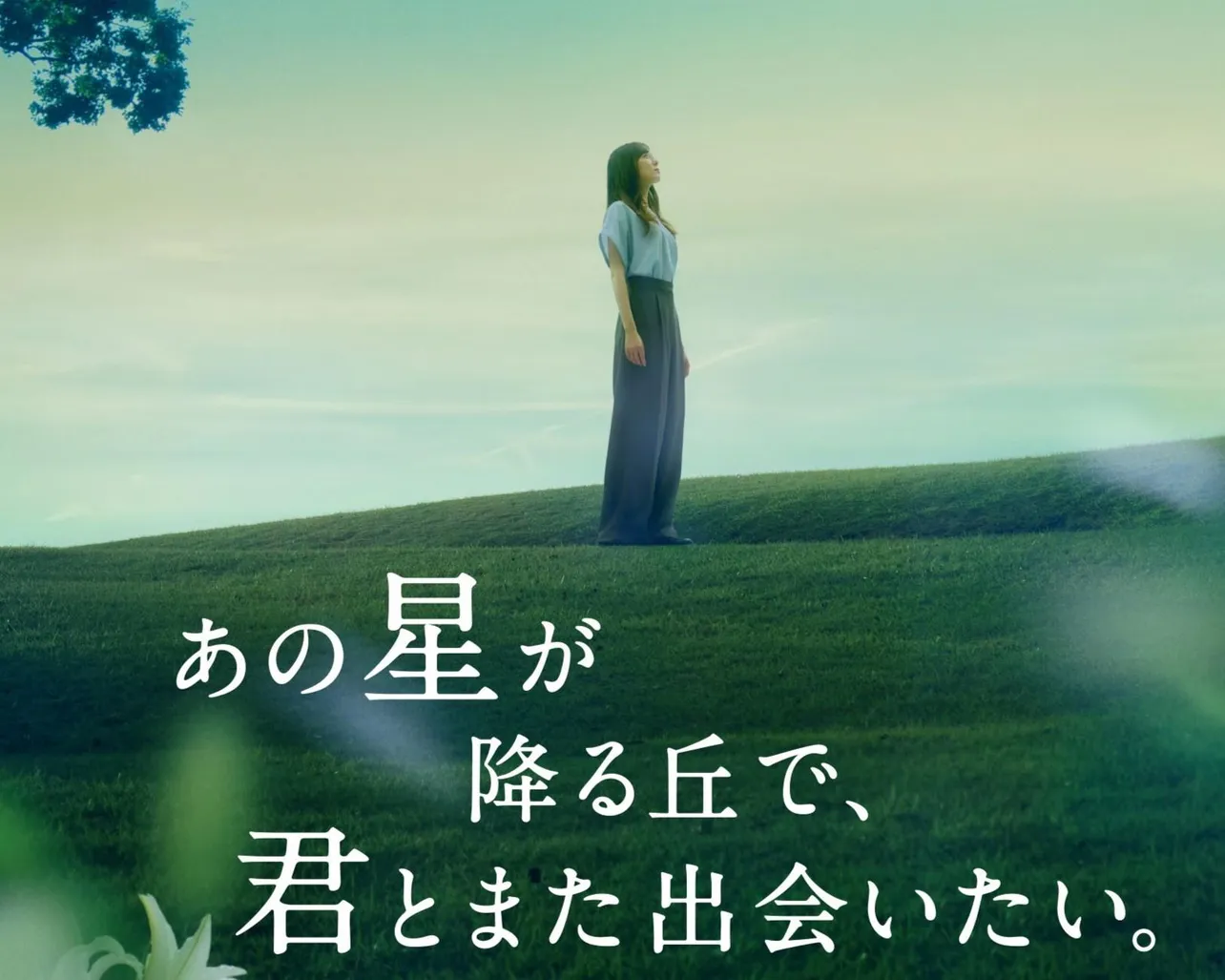 あの星が降る丘で、君とまた出会いたい。