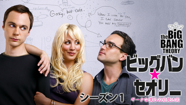 ビッグバン★セオリー/ギークなボクらの恋愛法則 シーズン1